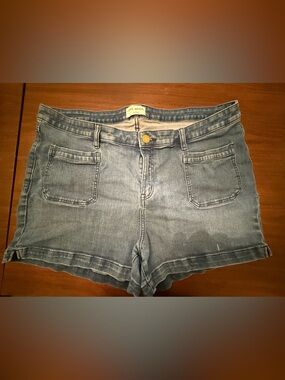 Lane Bryant Light Blue Denim Jean Shorts
